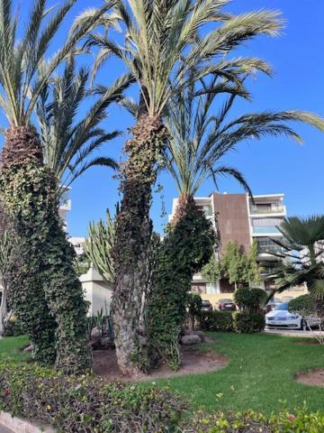 Appartement De Haut Standing En Residence أغادير المظهر الخارجي الصورة